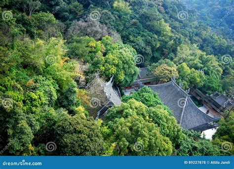  白云山！雲海と神秘的な森林の Intersection で自然を満喫！