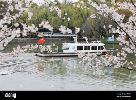 南湖公園！春は桜、秋は紅葉の絶景を誇る広大な緑地！